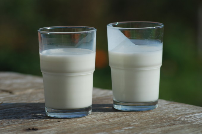 Which Milk is the best