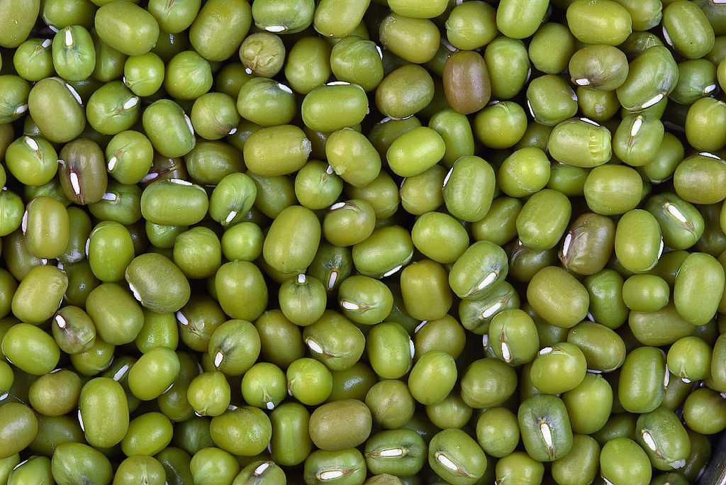 Moong Beans nutritional benefits Food and Remedy