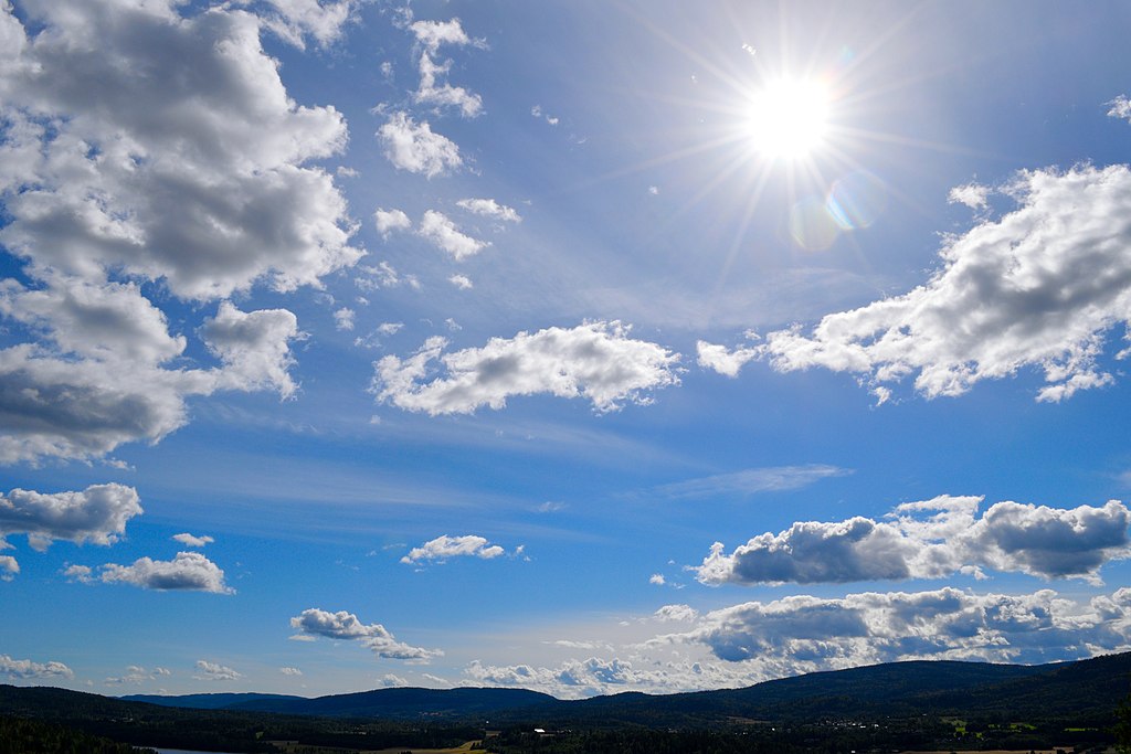 Nutrition Archives Food and Remedy